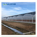 Agricultural Hydroponic Systems Multi-span Film Greenhouse